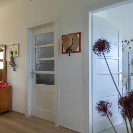 Apartment Da Lia Momjan