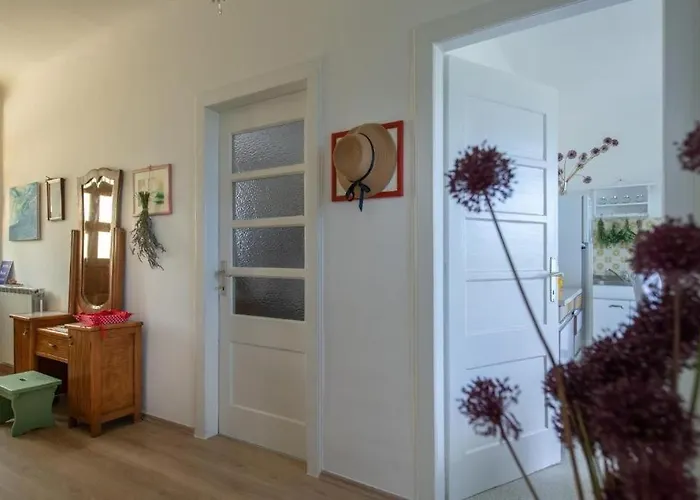 Apartamento Da Lia Momjan